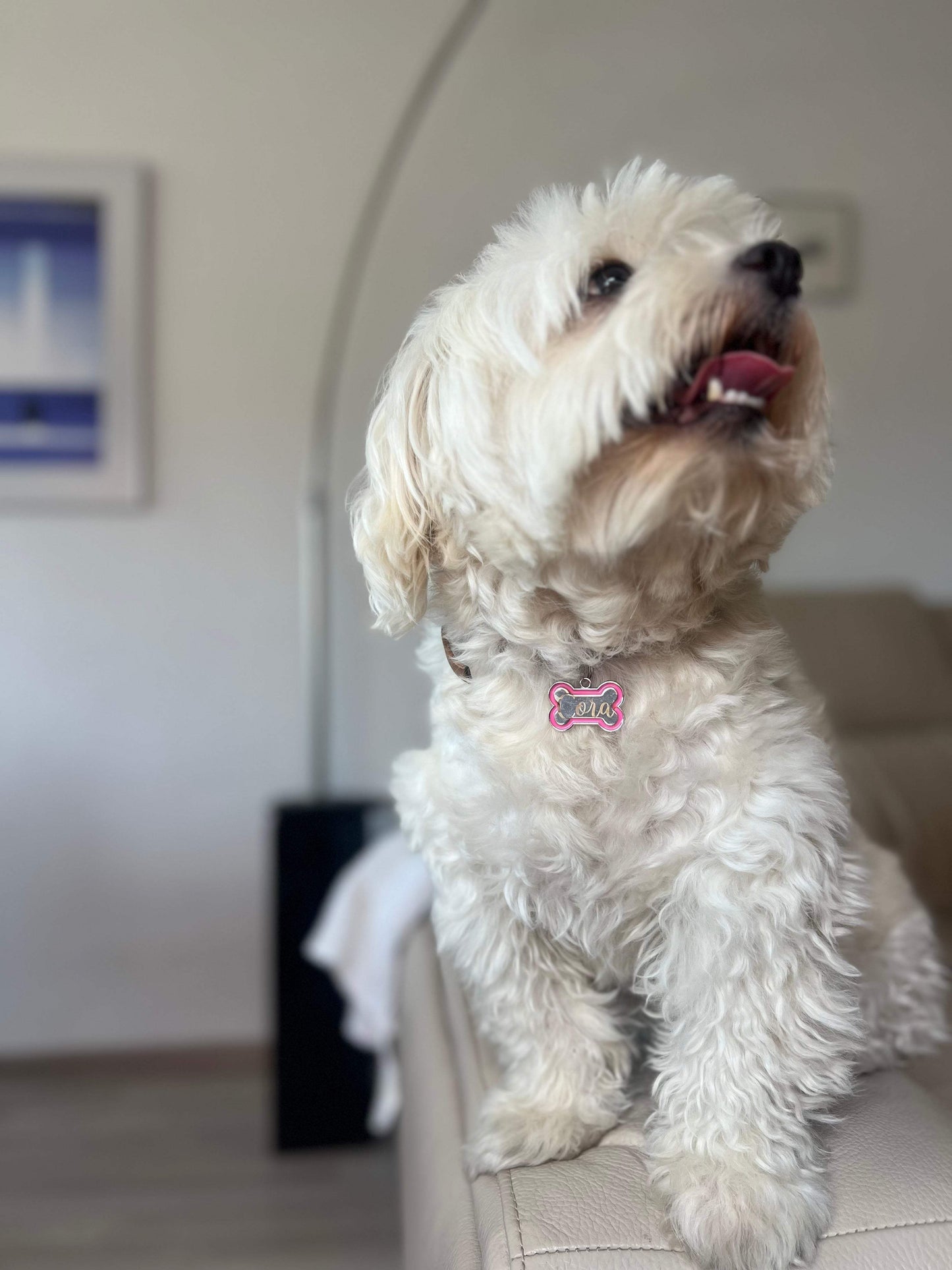 Hueso collar grabado con nombre - REGALA AMOR