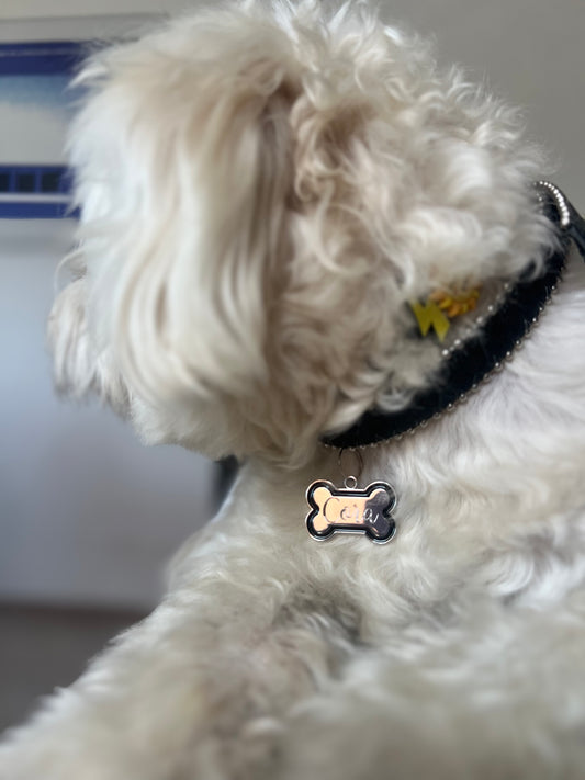 Hueso collar grabado con nombre