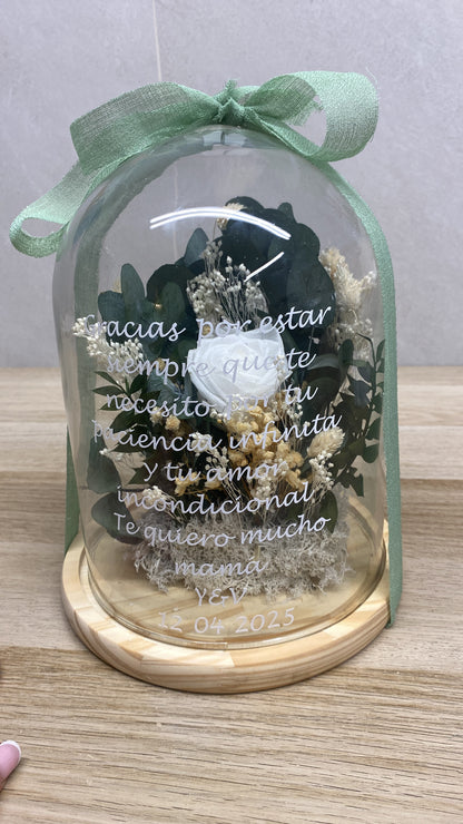 Cúpula de flor preservada eucalipto