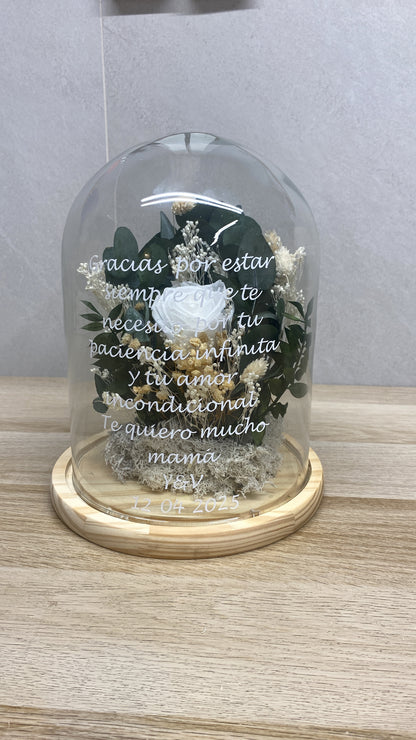 Cúpula de flor preservada eucalipto