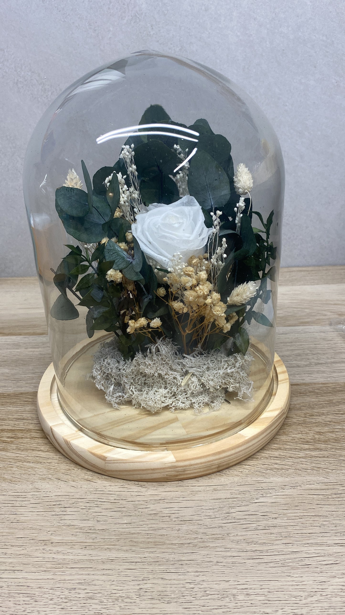 Cúpula de flor preservada eucalipto