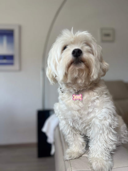 Hueso collar grabado con nombre - REGALA AMOR