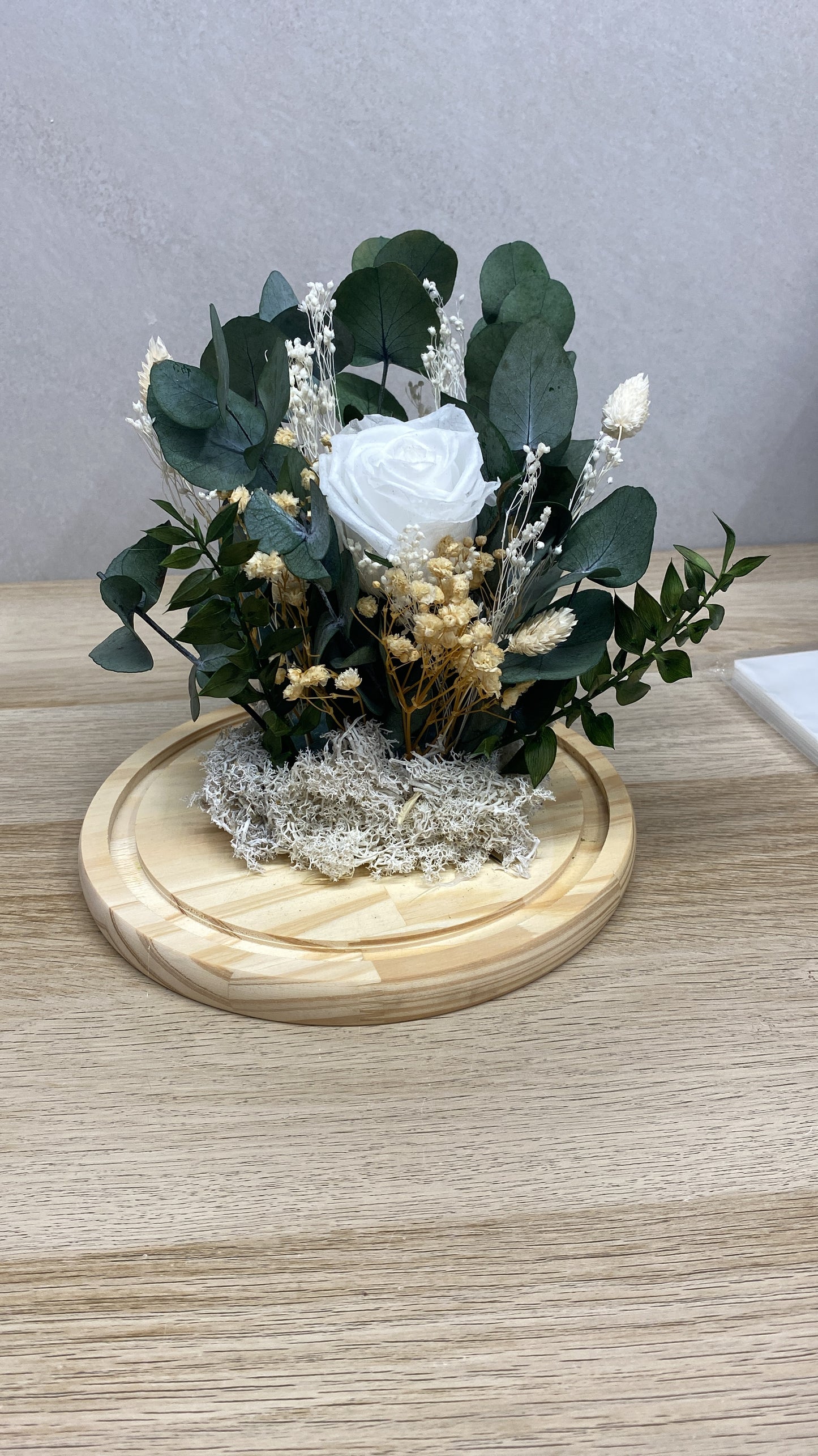 Cúpula de flor preservada eucalipto