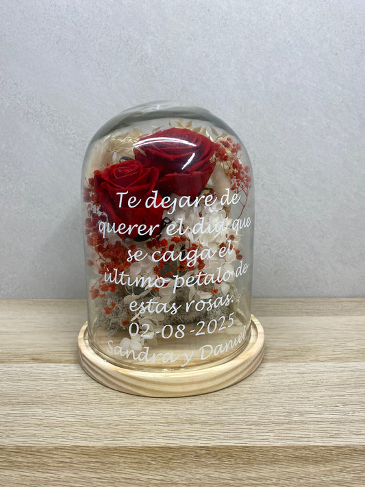 Cúpula de flor preservada con dos rosas – Regalo eterno y elegante
