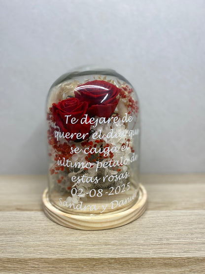Cúpula de flor preservada con dos rosas – Regalo eterno y elegante
