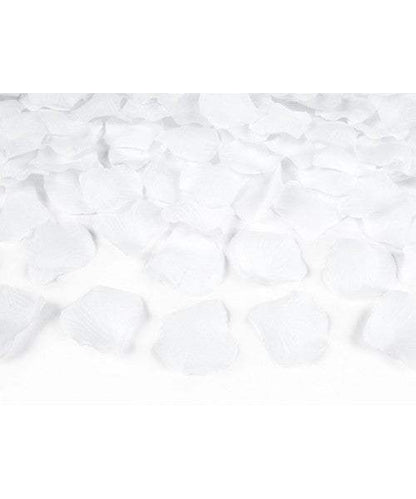 cañón confeti de pétalo de rosa blanco - REGALA AMOR